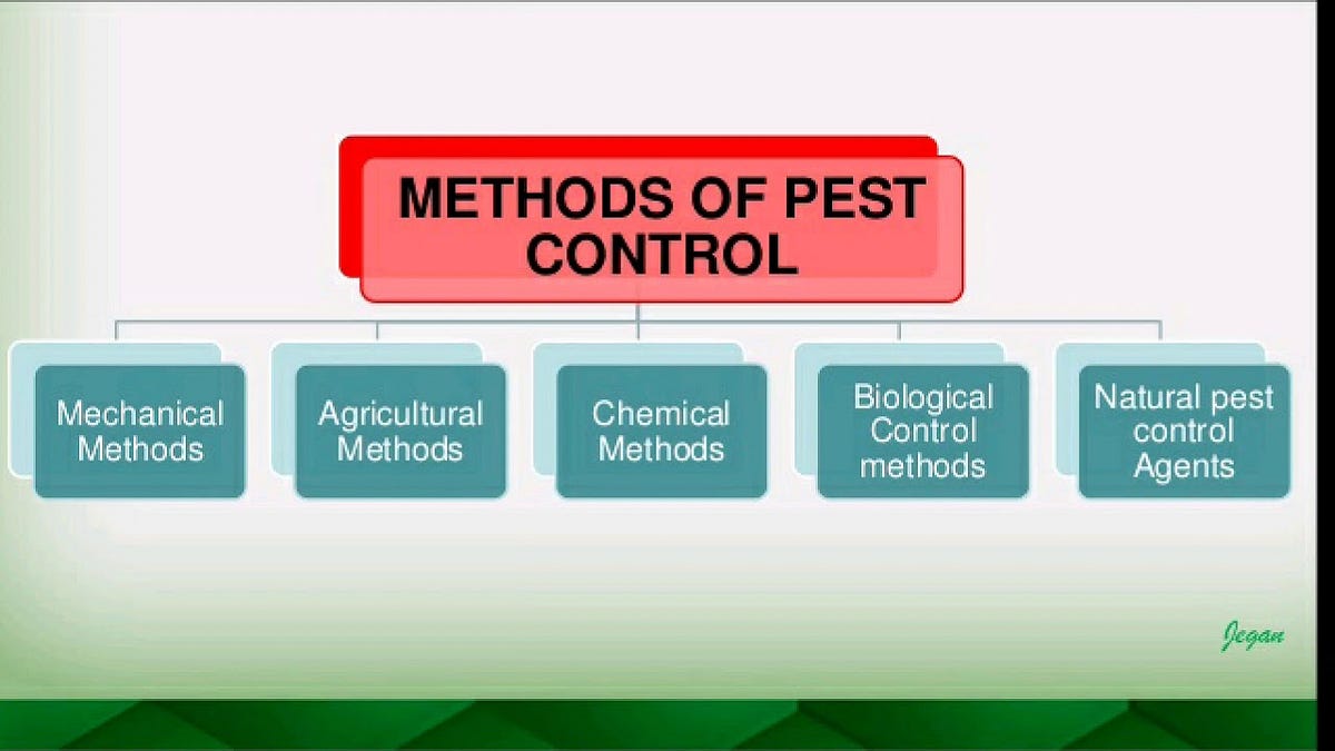 Proven Pest Control Methods Demystified | by Brady Pest Control | Apr ...