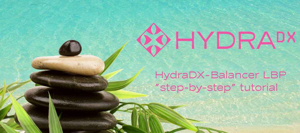 Tutorial "paso a paso" de HydraDX Balancer LBP by Frangs Medium