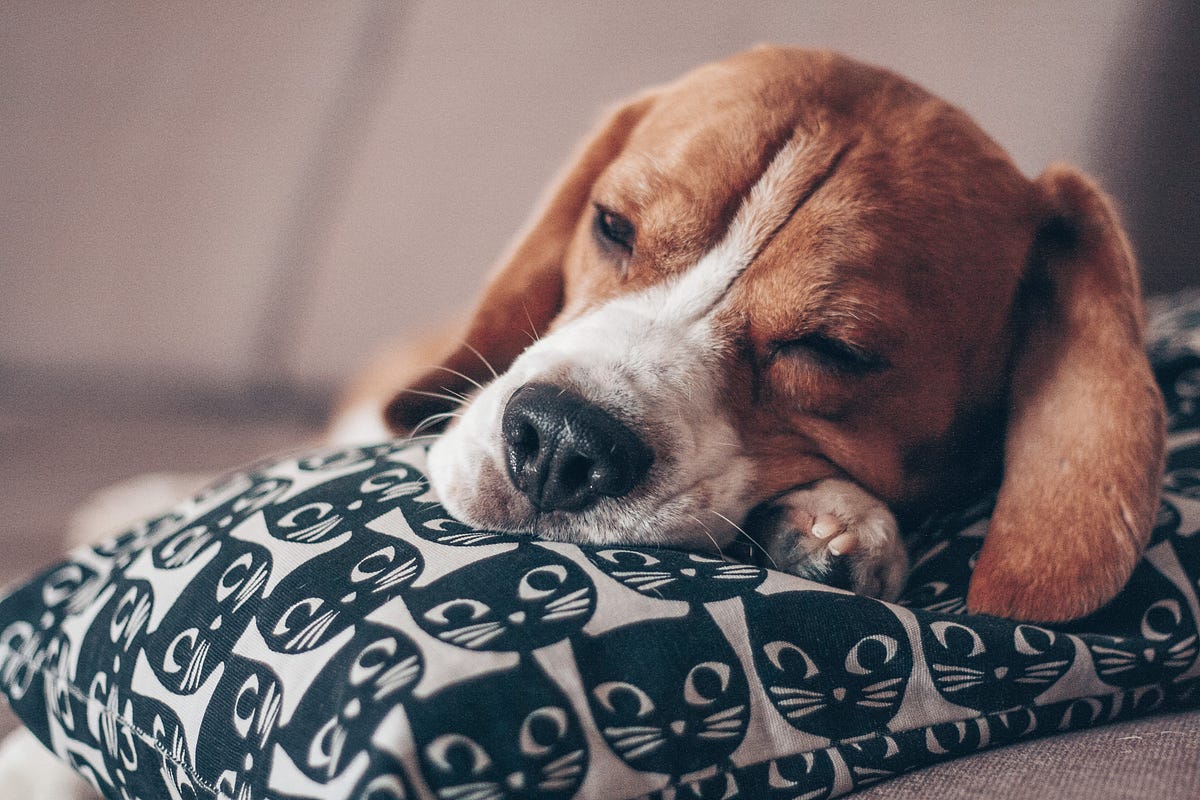 Boosting Creativity With Napping. Need good ideas? A nap may actually ...