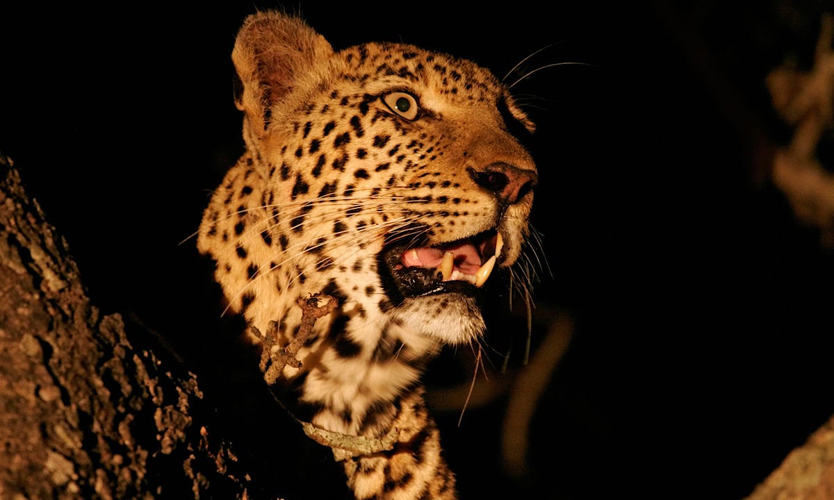 table mountain activities cape town Visitcapetown Medium