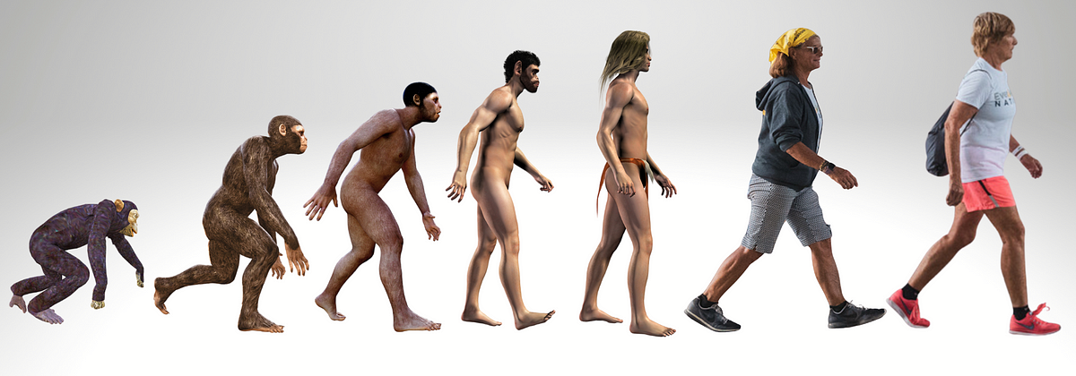 The Homo Sapien: Walker Extraordinaire, by Diana Nyad