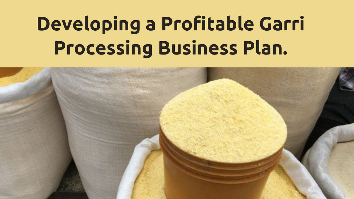 garri production business plan