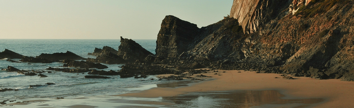 Why Every Developer Should Understand Interfaces in OOP | by code.with ...