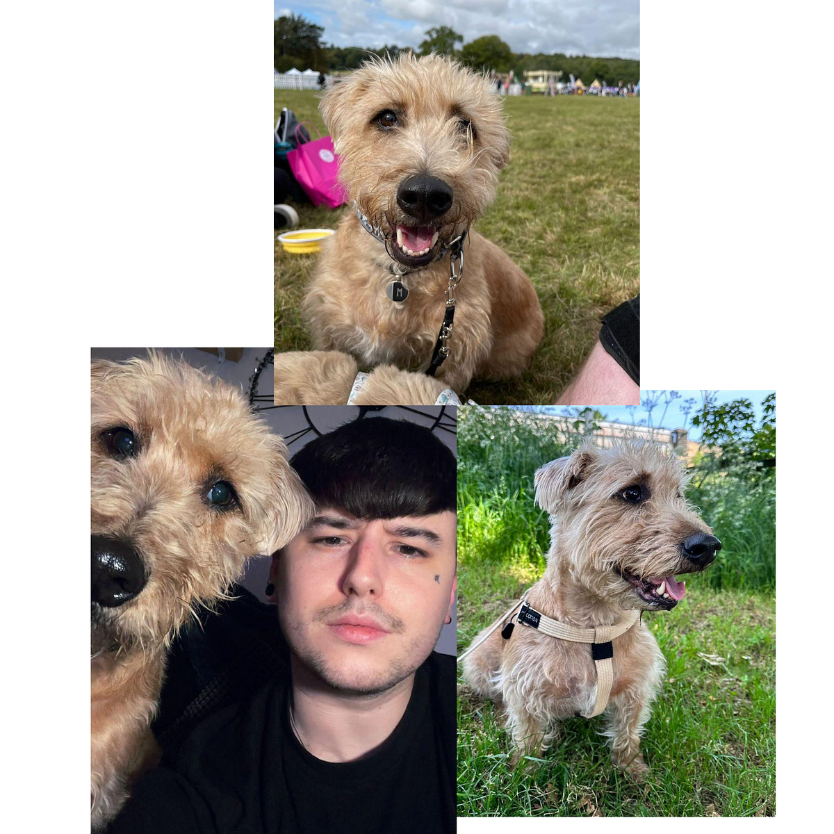 Devoted Pet Parents!. Meet Jake, a lively 25yearold, and… by