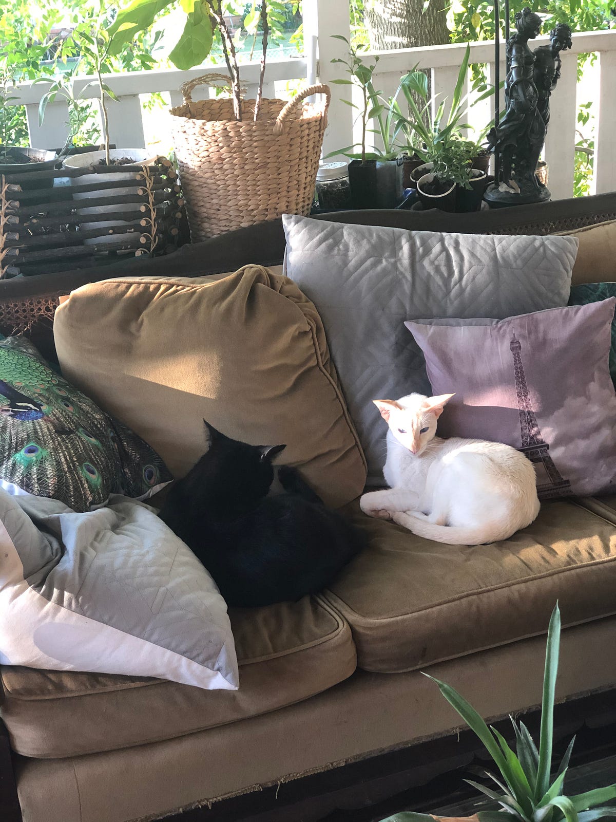 Beginners Guide to Popular Vintage Furniture Eras by Deb Clark Medium