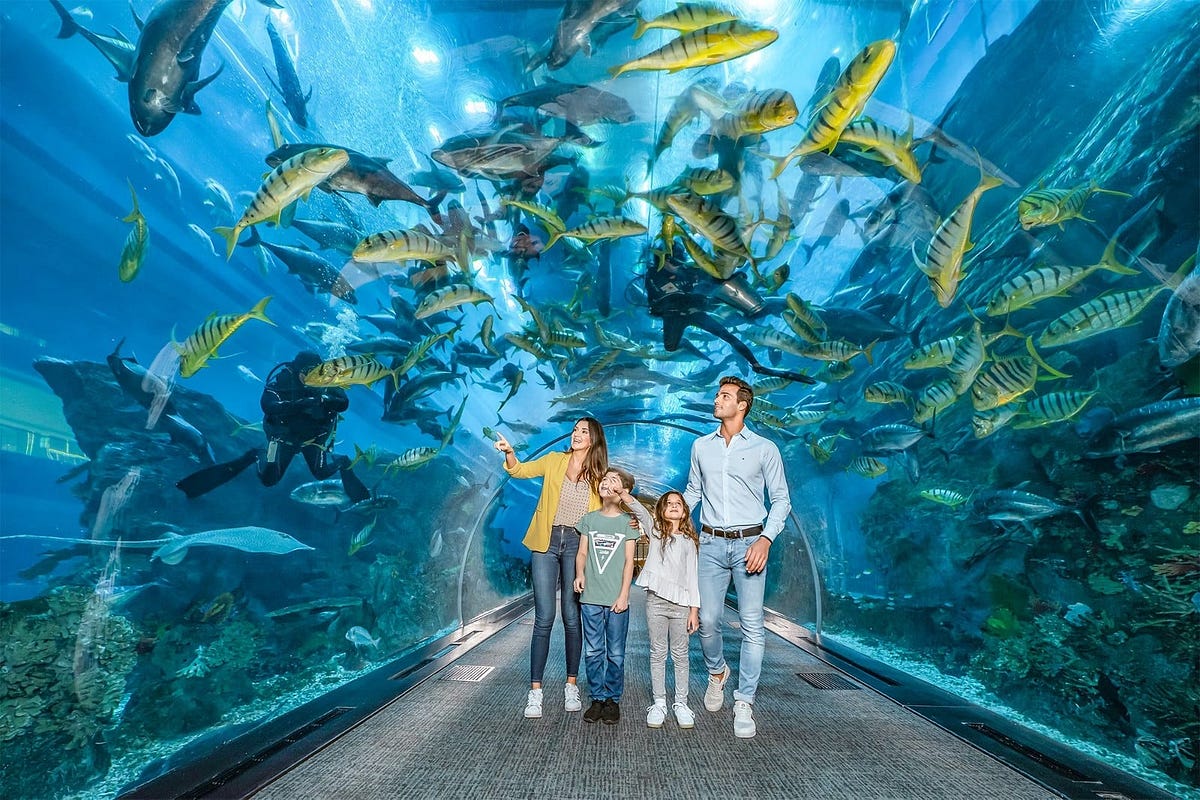 Dubai Aquarium & Underwater Zoo ( Dubai UAE 2024 ) | by Yaqub | Jan ...