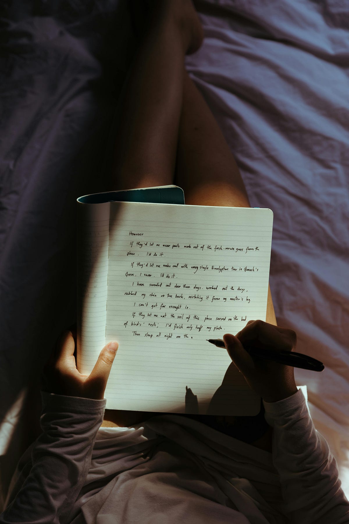 How to get the writer back in you? | by Induja Nair | Aug, 2024 | Medium