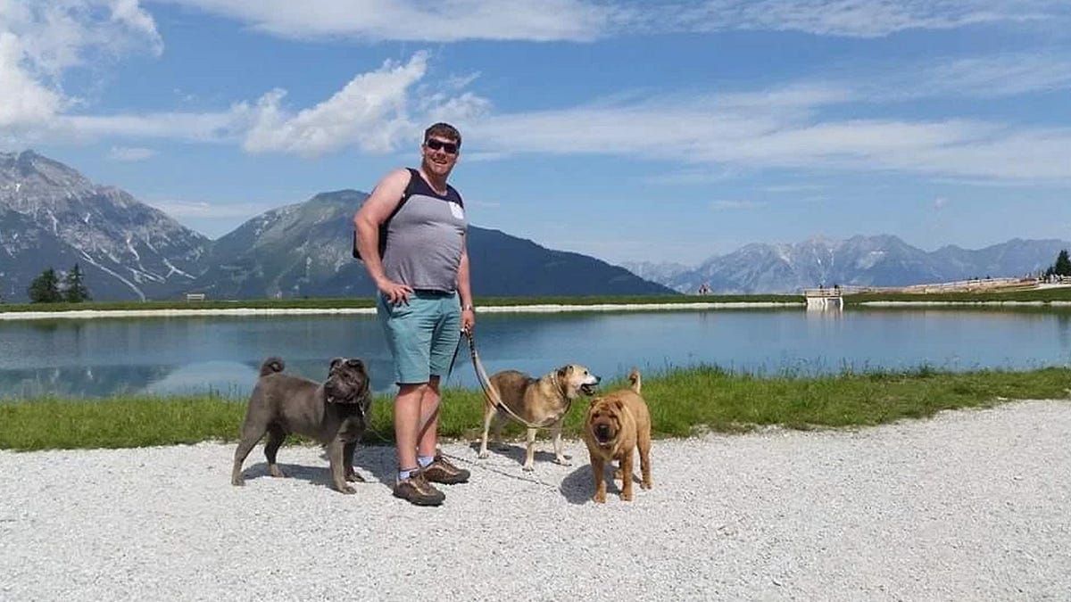 Unleashing Success Top Dog Trainers in the UK by The UK Dog