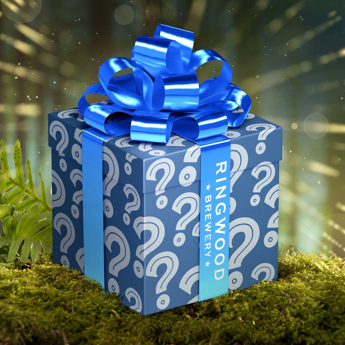 The Mystery Gift Box Company 