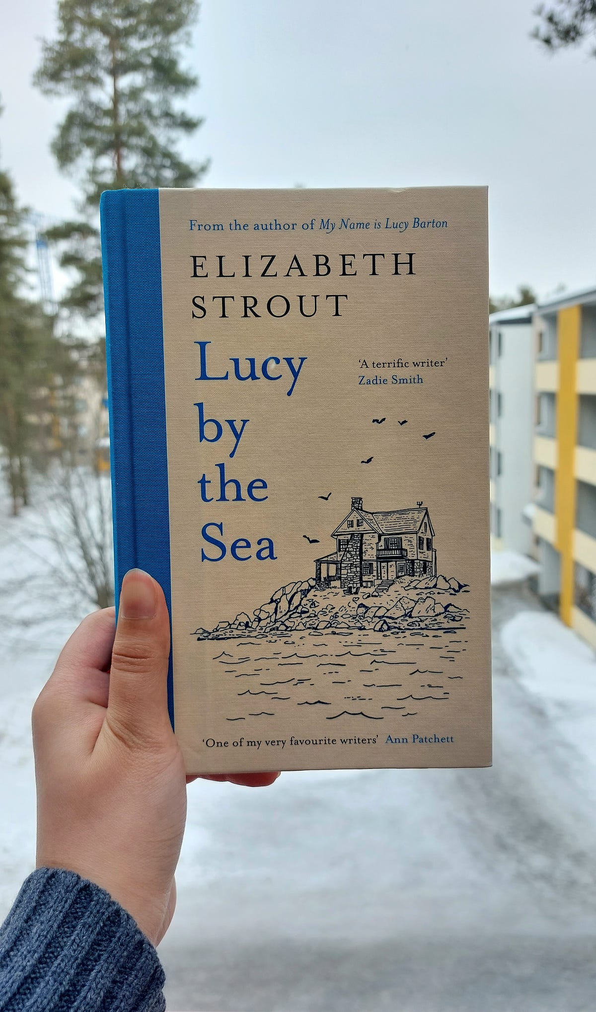 Lucy by the Sea [LONG] Book Review by Fariza Farid Medium
