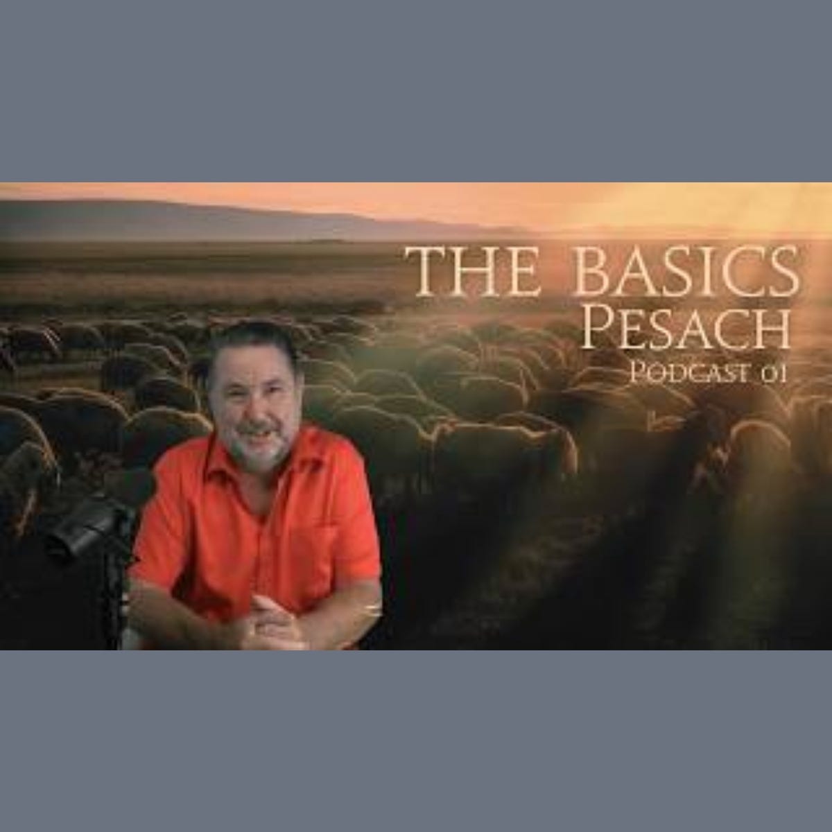 The Basics ~ Pesach ~ Passover #Basics