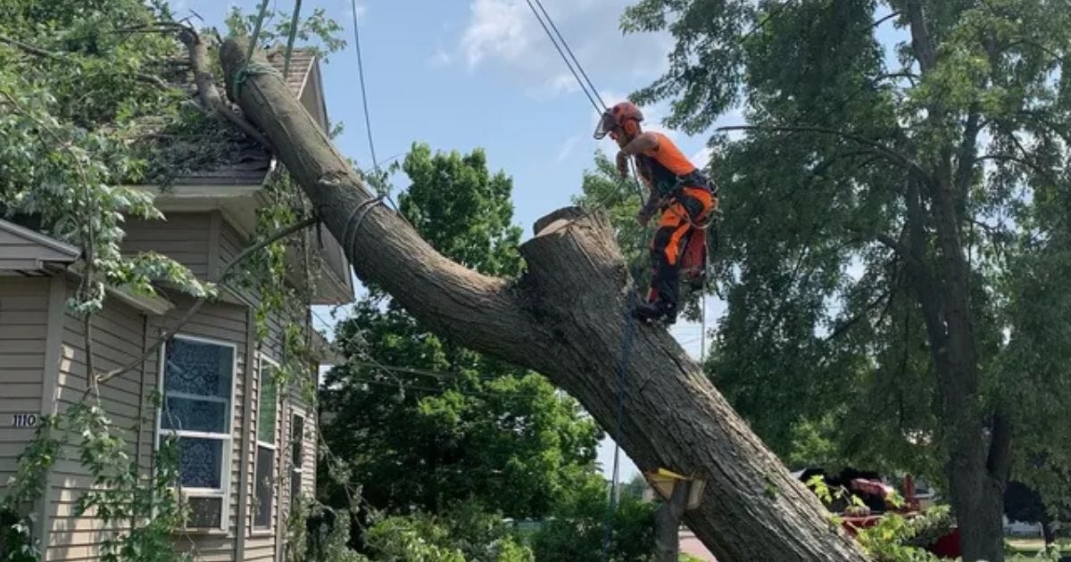 Emergency Tree Service Kansas City: What To Do After Storm Damage