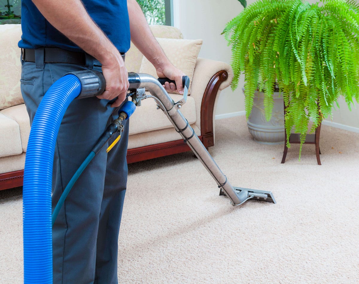 All You Need To Know About Carpet Cleaners by Kiwi Cleaning Medium