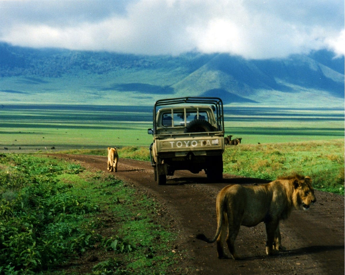 How Much Does a Tanzania Safari Cost? By Generous African Safaris and ...