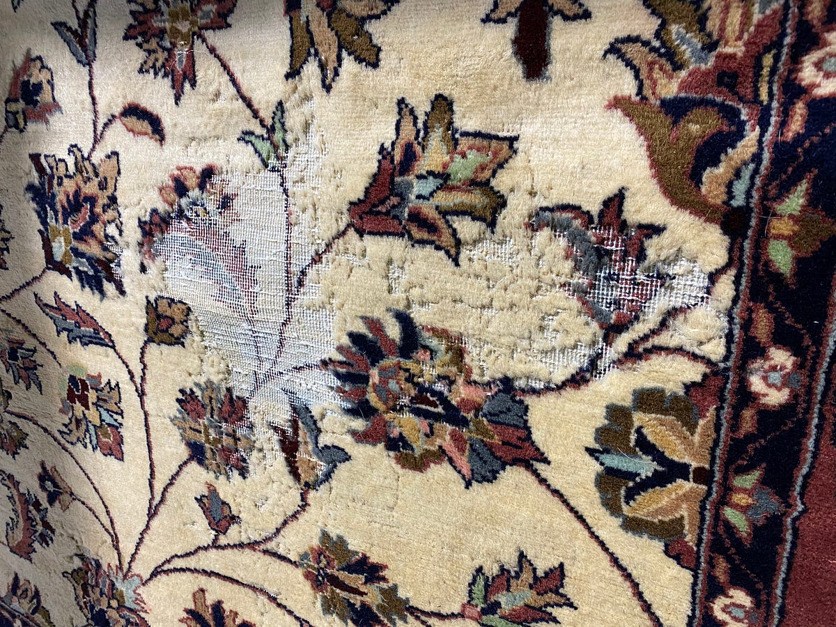 Moth Infestation, How To Protect Your Valuable Wool Rugs From Critters