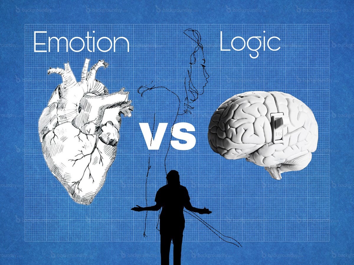 your presentation should balance logic and emotion