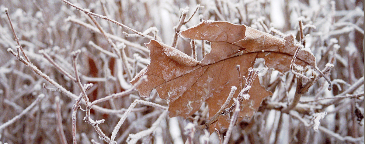 Dear Acupuncture Practitioners - Yes, winter pain is a real seasonal ...