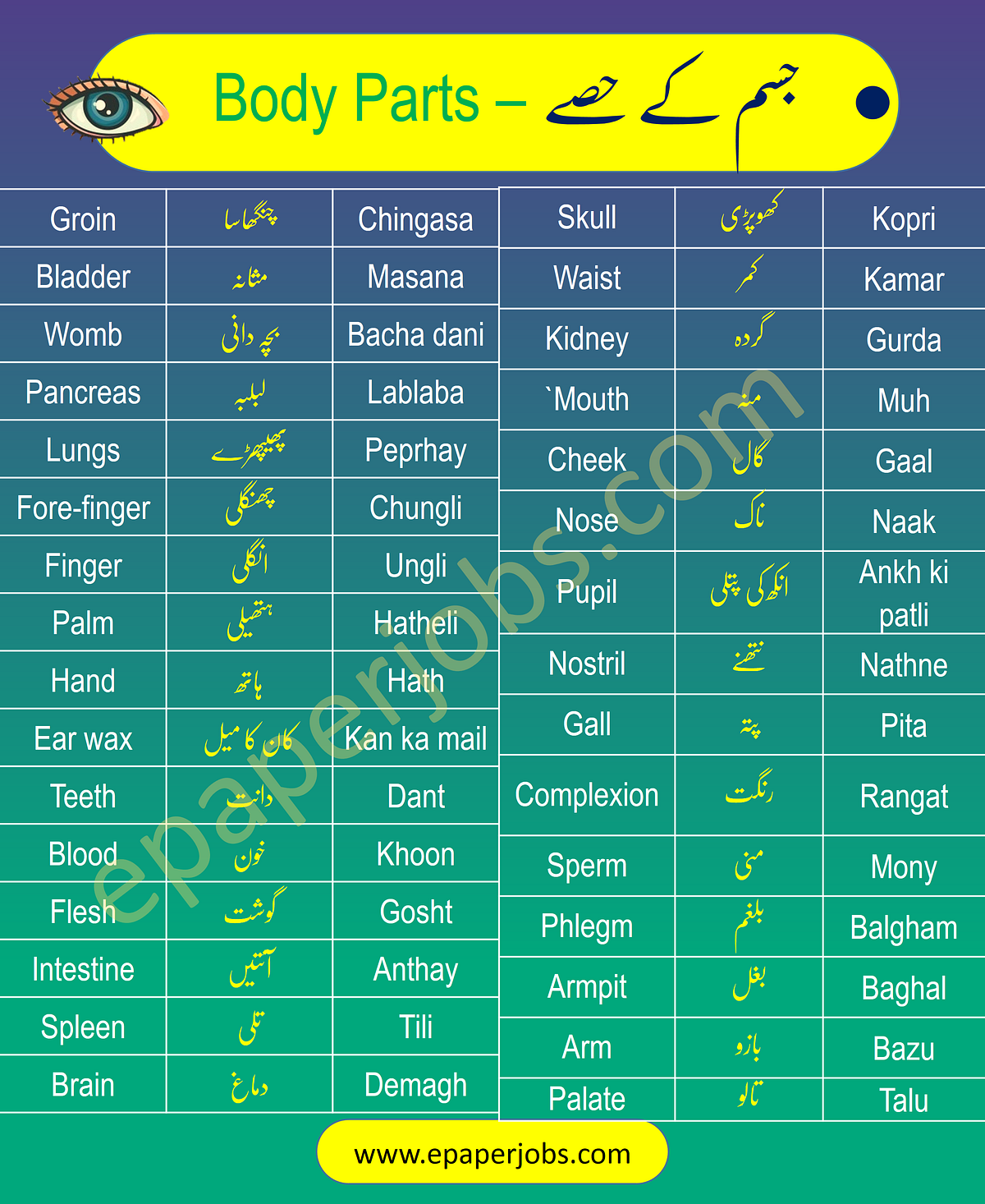 Parts of Body Names in Urdu and Hindi Epaper Jobs Medium
