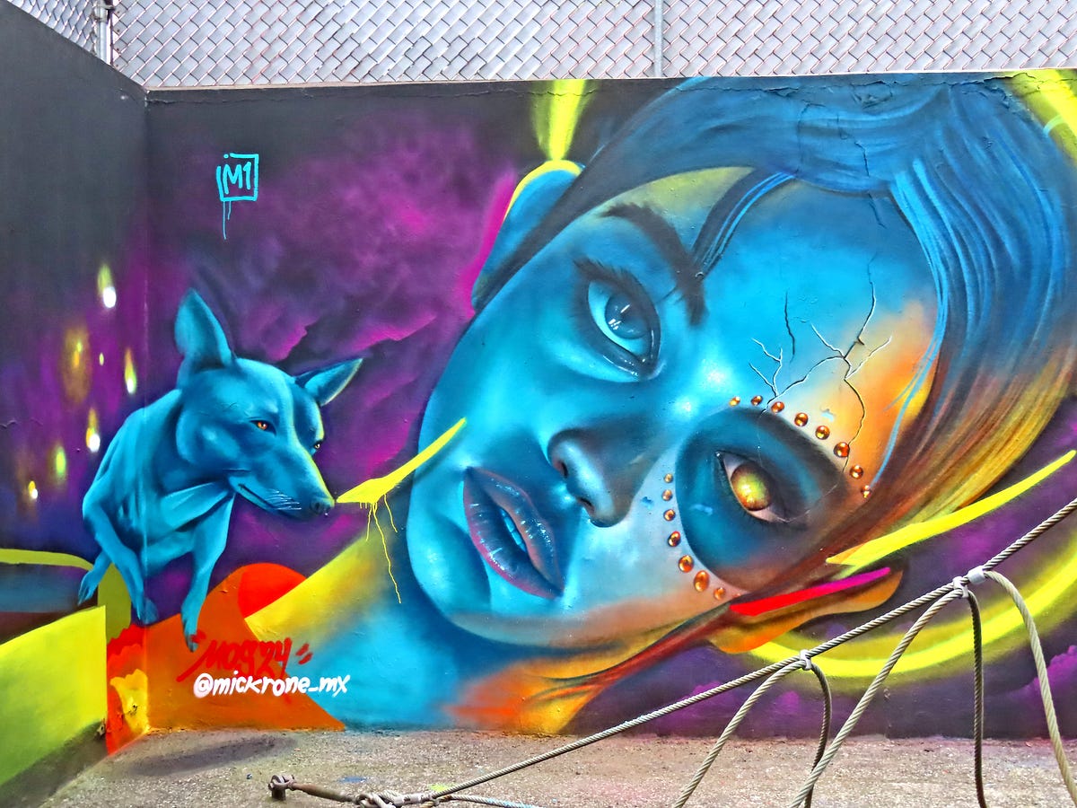 Mexican Street Art — From San Miguel de Allende to Mexico City