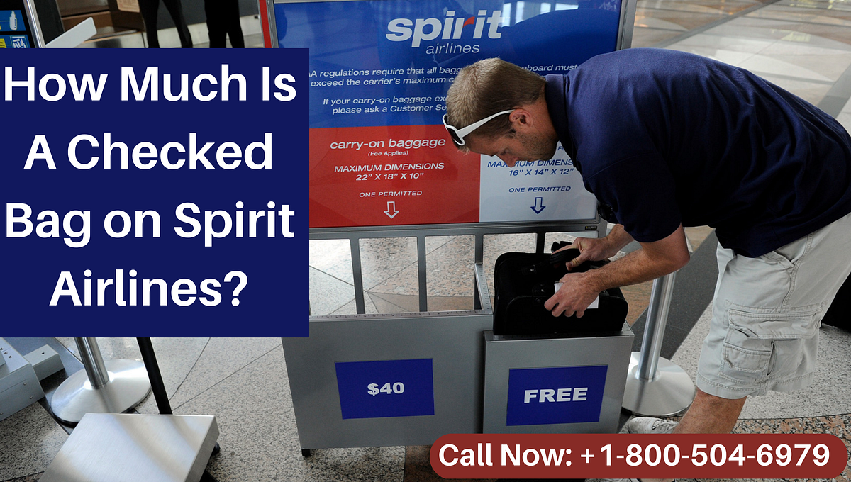 How Much Is A Checked Bag on Spirit Airlines? Amara smith Medium