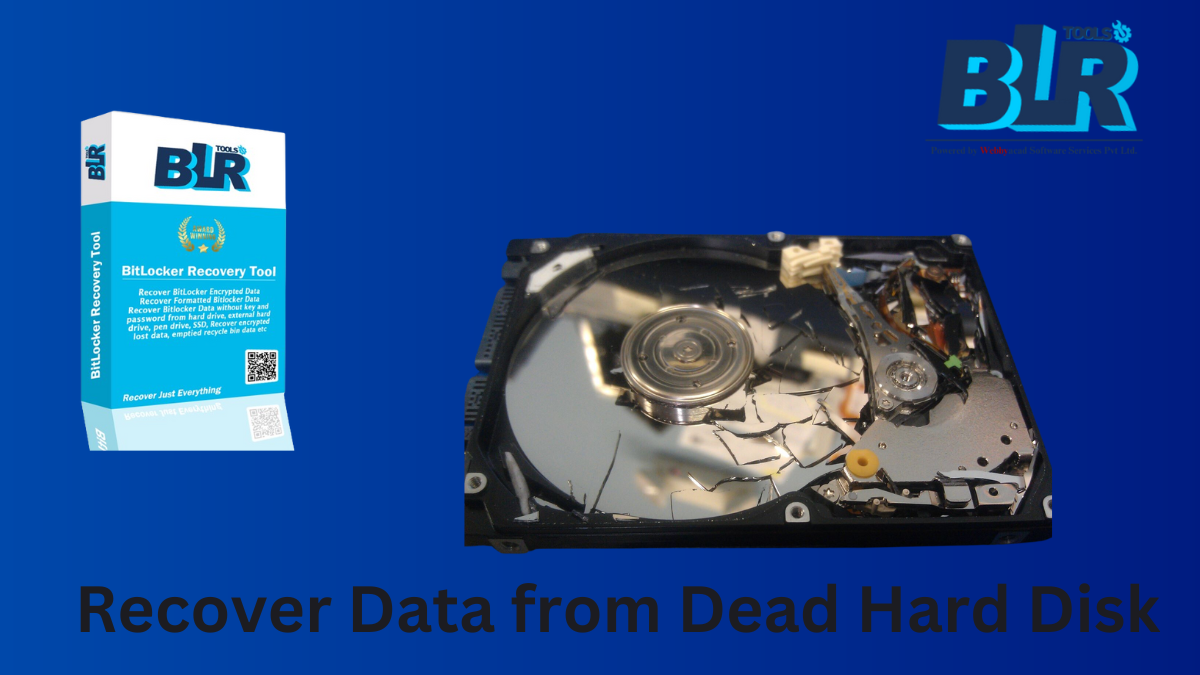 How to Recover Data from a Dead Hard Disk (2024) Medium