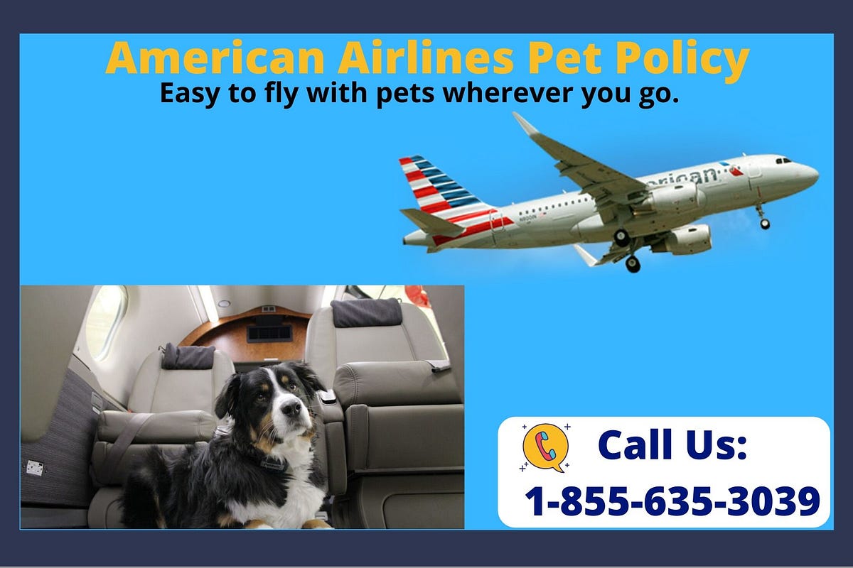 Wonderful Journey with your Pets in American Airlines by Ruben Parker