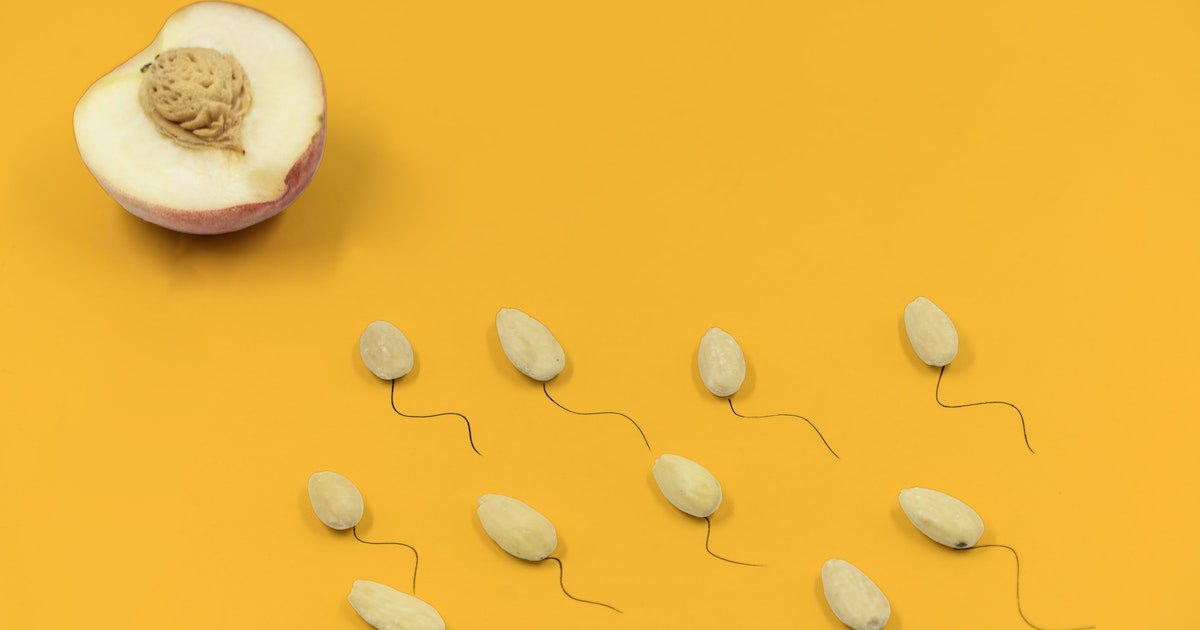 How Much Do You Get Paid to Donate Sperm? by a Millionaire⭐⭐ Medium