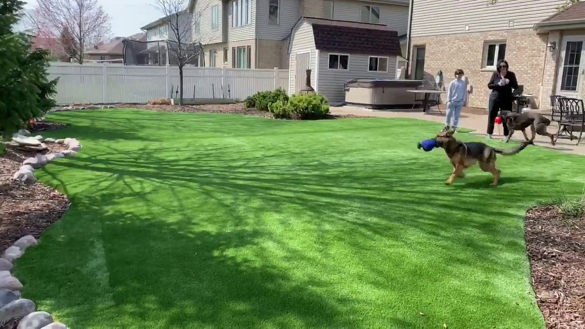 Pet Turf Installation Near Houston, TX PetFriendly Turf Installation