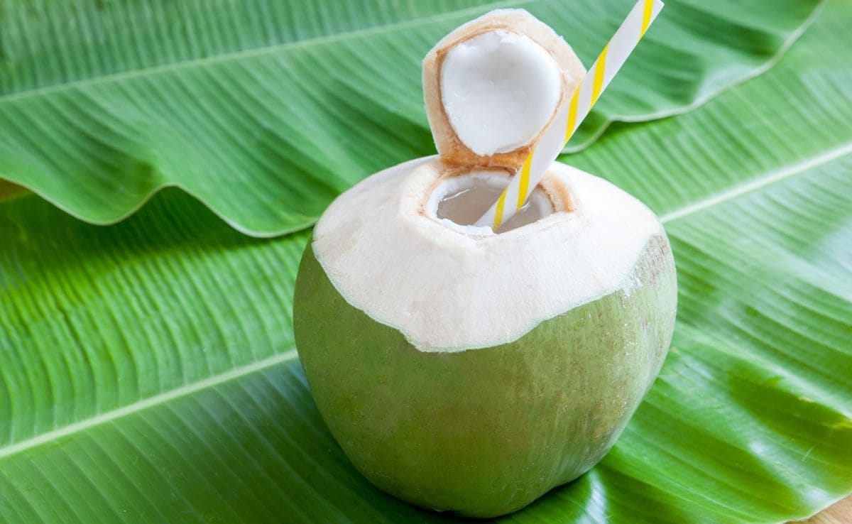 The Best Packed Coconut Water Available Online