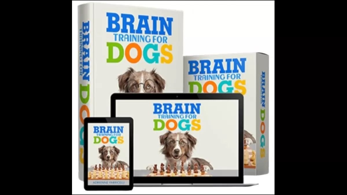 Genius Dog Training Program by D Lyons Sep, 2023 Medium