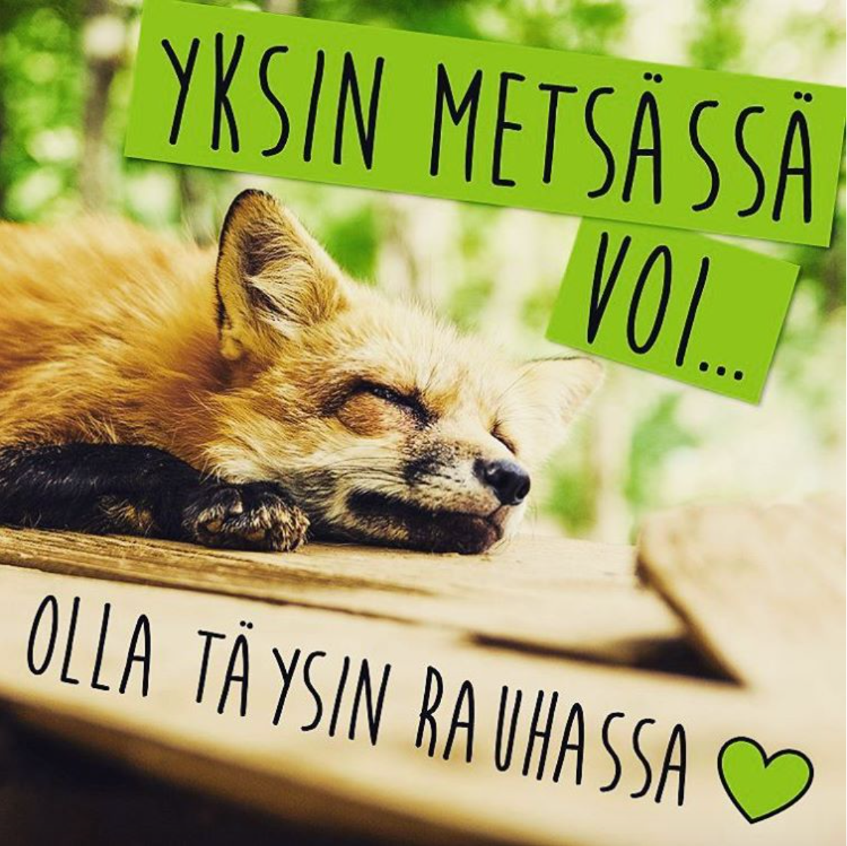 ”Metsässä hengaaminen lievittää stressiä — myös tässä ja nyt!”