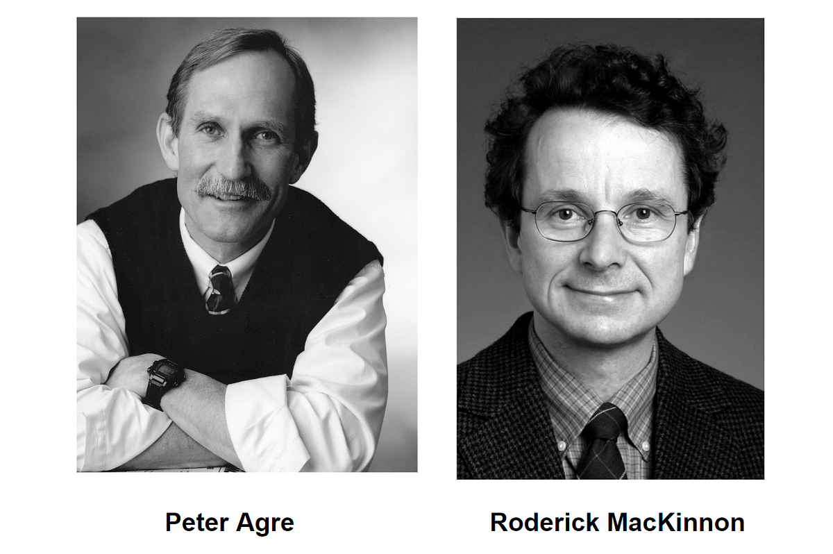 Life Water — Structured Microcluster Water is the Most Needed Water in