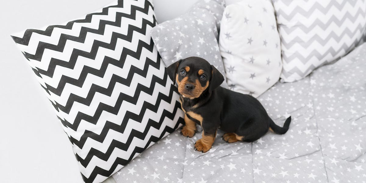 3 Reasons I Hated My “Make Your Bed Every Morning Motivational Course
