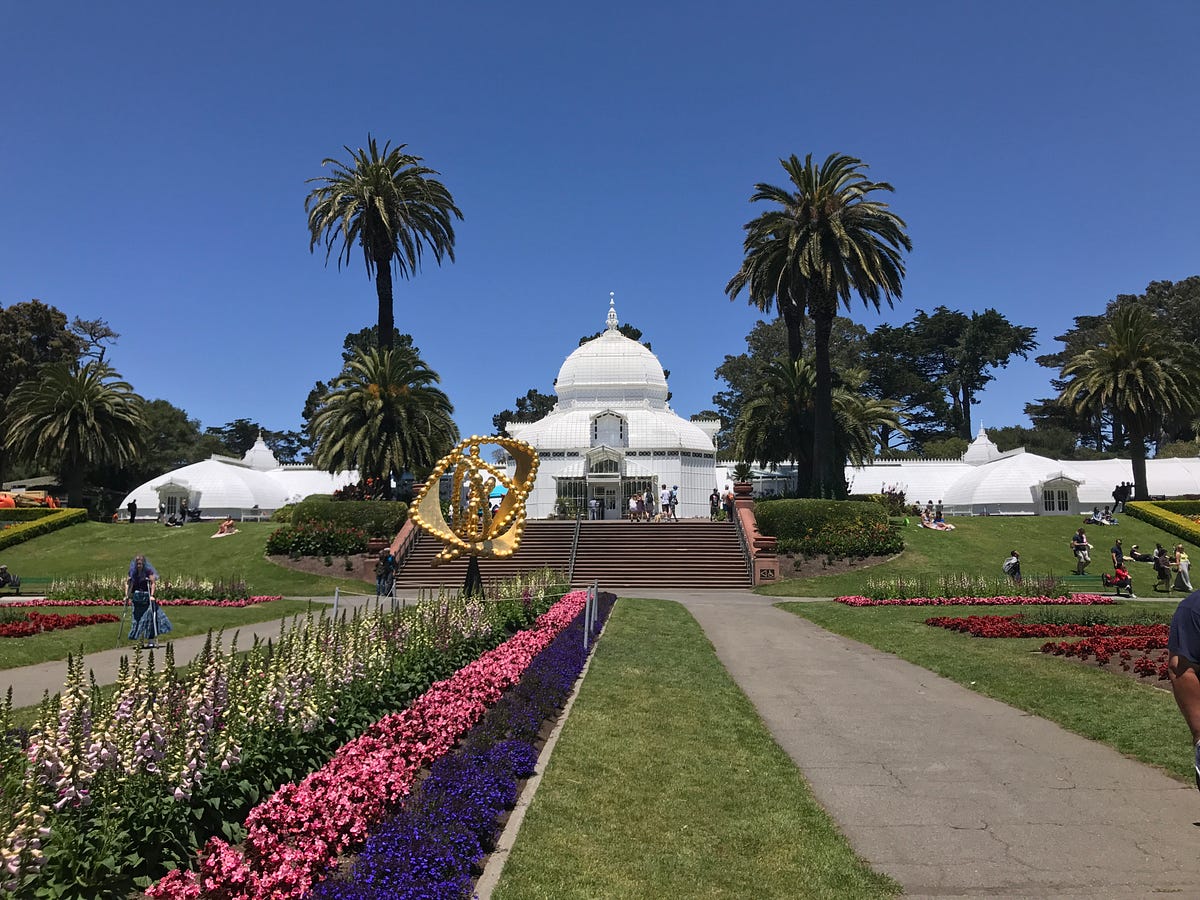 Image of: Conservatory of Flowers Plants That Remind Me of Exes
