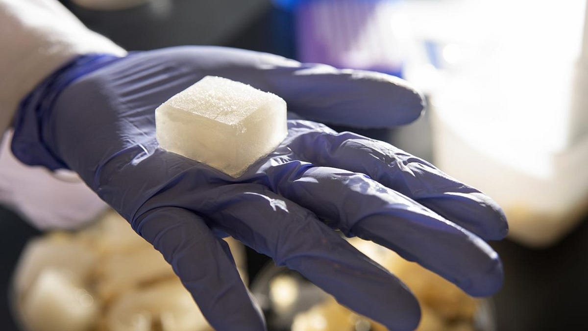 Unmeltable Ice Cubes Can Improve Environmental Sustainability | by Synthia Stark | Science