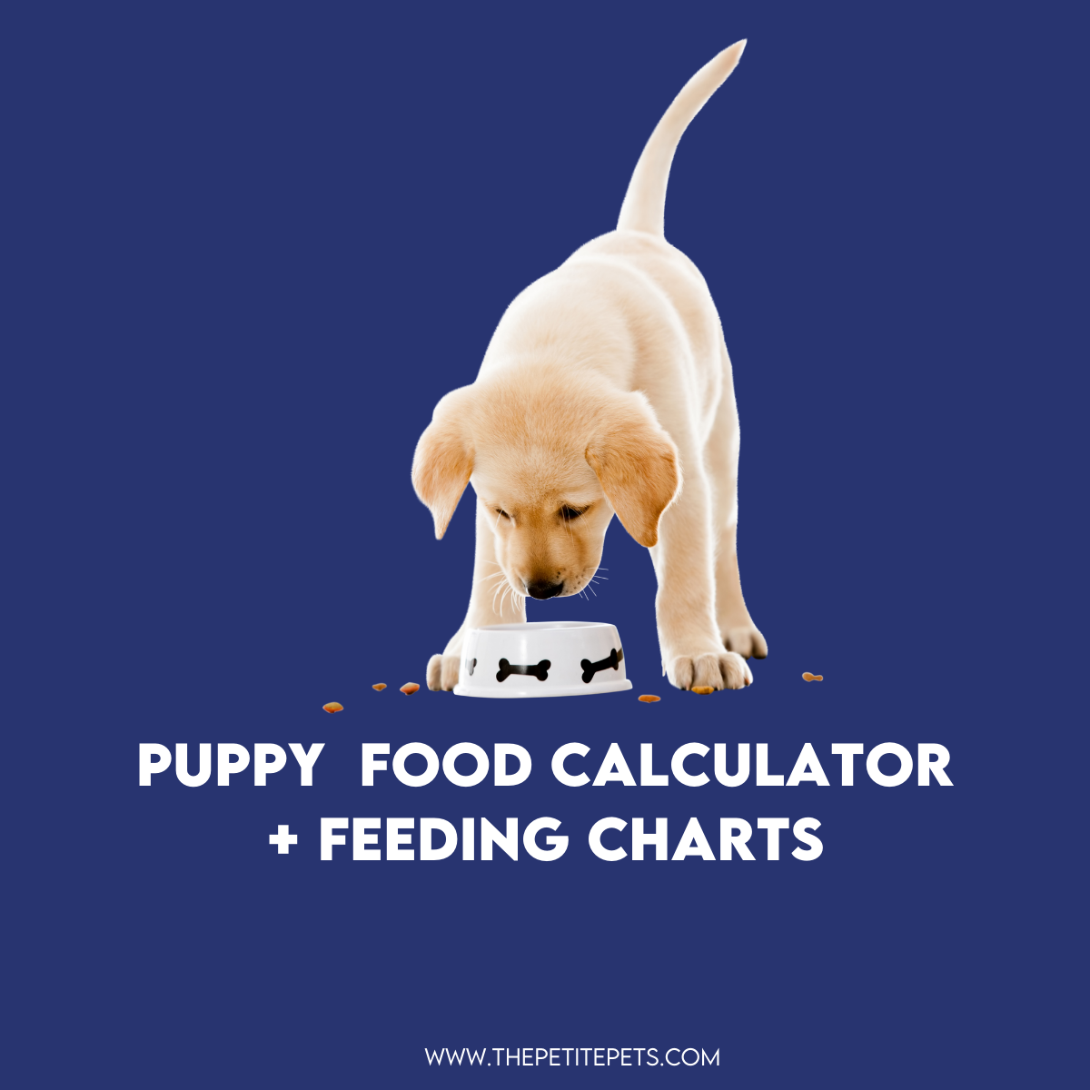 Puppy Food Calculator + Vet-Approved Dog Feeding Guide|The Petite Pets | by  Nisa Bardien | Medium