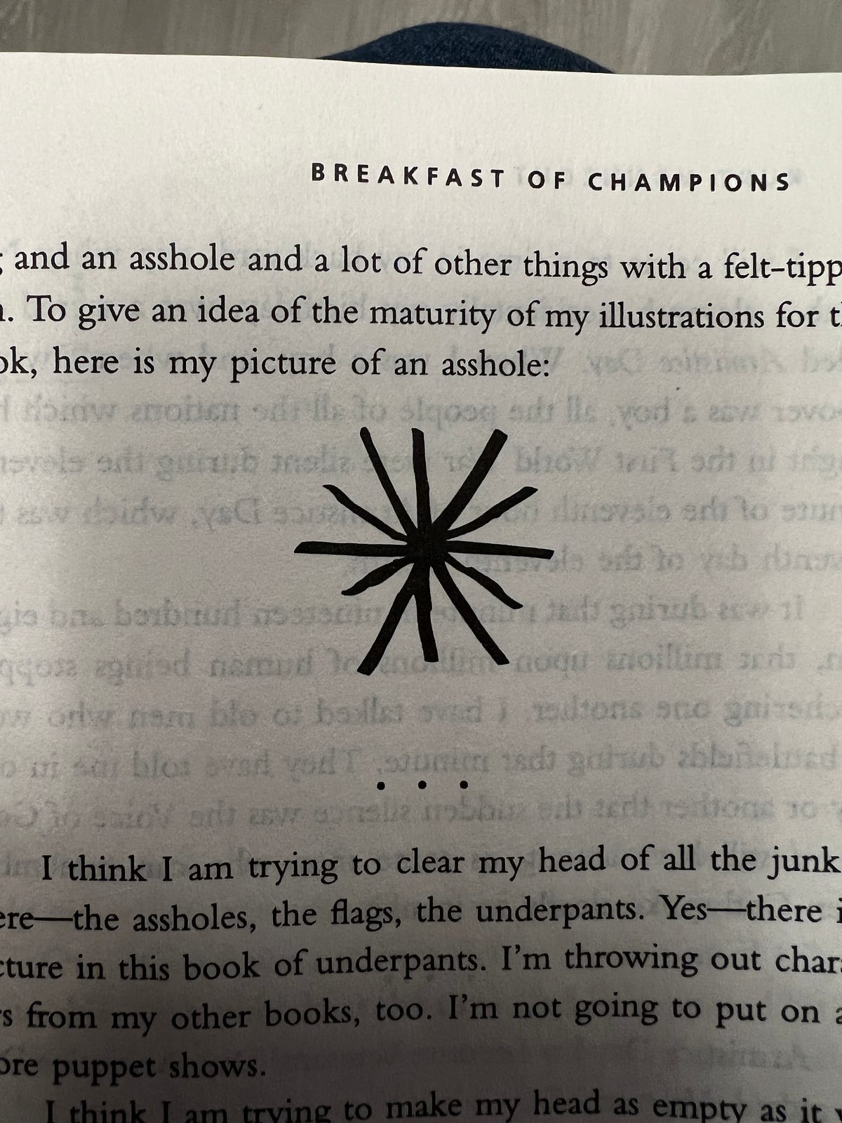 Breakfast of Champions, by Kurt Vonnegut | by Cobblestone Streaks | Medium
