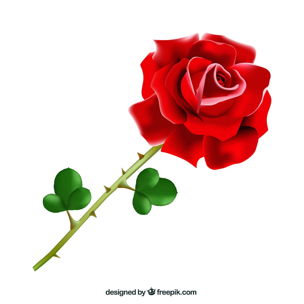 poem-roses-and-thorns-so-it-started-with-a-philosophical-by-ashok