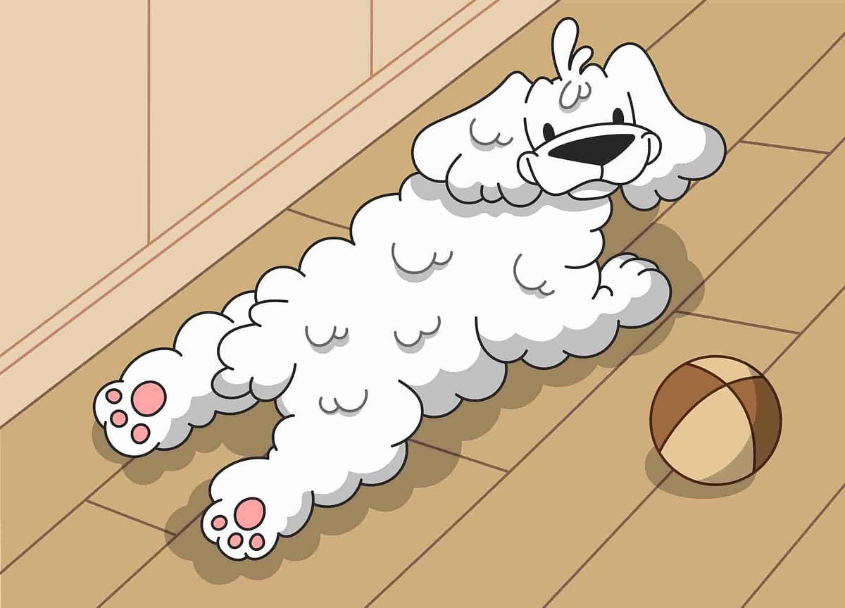 What is a Sploot and Why are Dogs Splooting by Petcube Medium