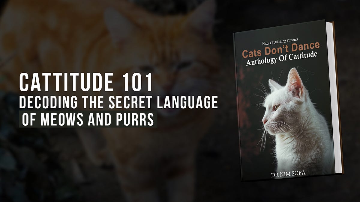 Cattitude 101 — Decoding the Secret Language of Meows and Purrs by