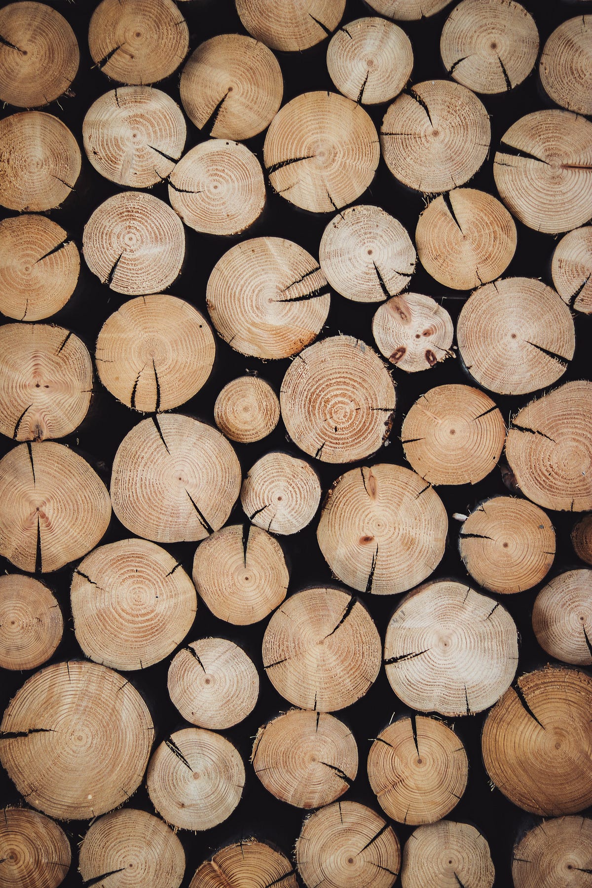 FSC Certified Wood — What Does it Mean? by Forevermark Medium