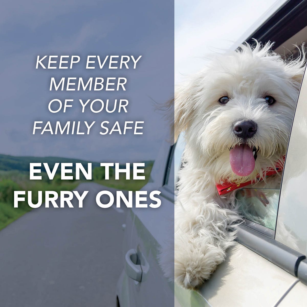 Best Body Shop Queens Betterbodyautocollision Medium