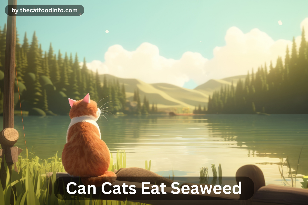 Can Cats Eat Seaweed? A Comprehensive Guide to Feline Nutrition and