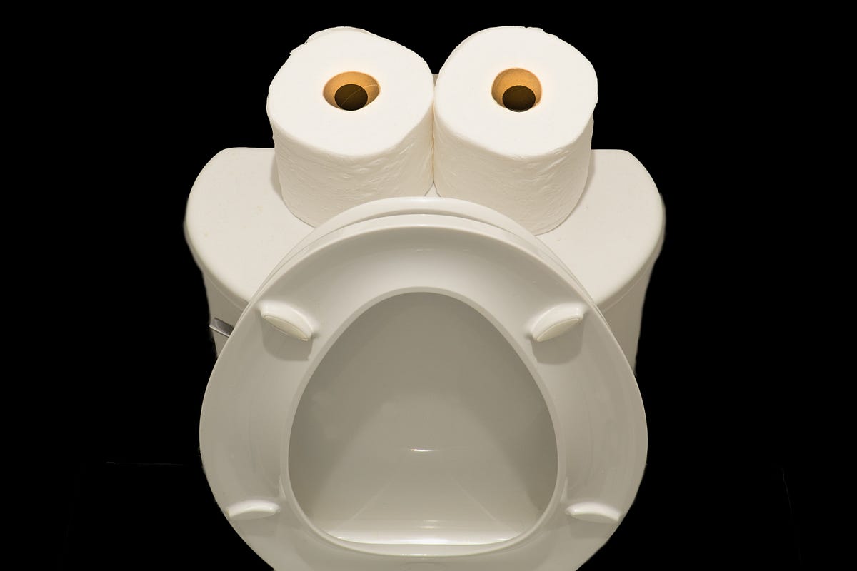 Why Doesn’t Someone Invent a Soundproof Toilet Bowl? by Elaine