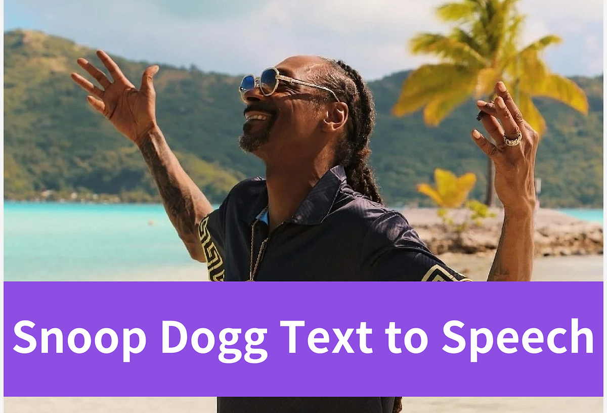Unlock the Star Power Snoop Dogg Text to Speech Technology by novita