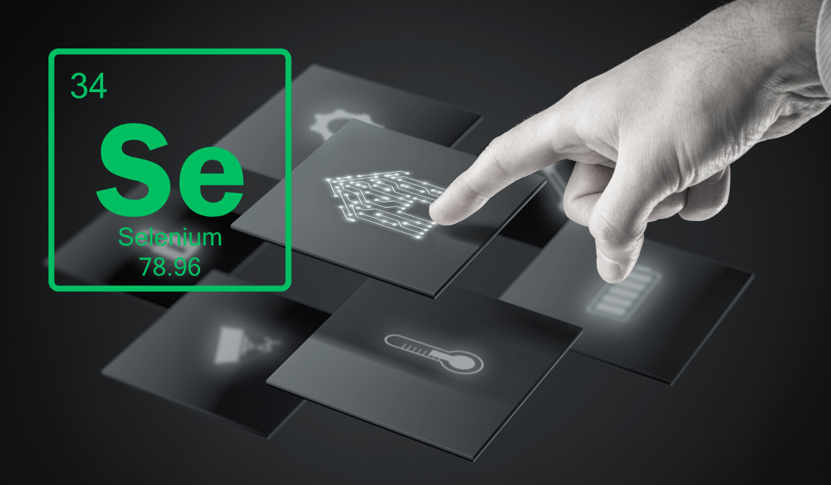 Page Object Model Key Principles for Success by Software QA Engineer