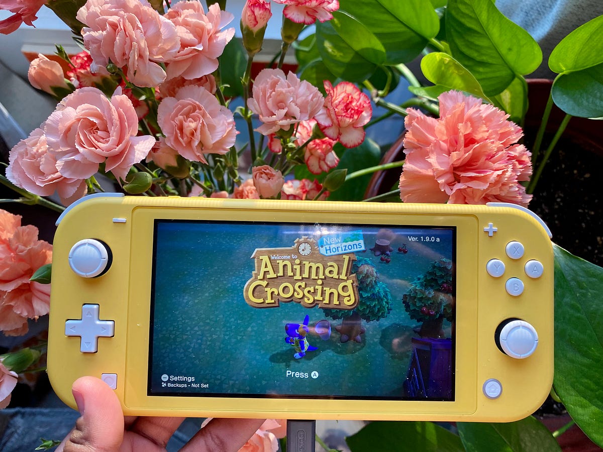 BurnOut Playing Animal Crossing New Horizons In Four Months by