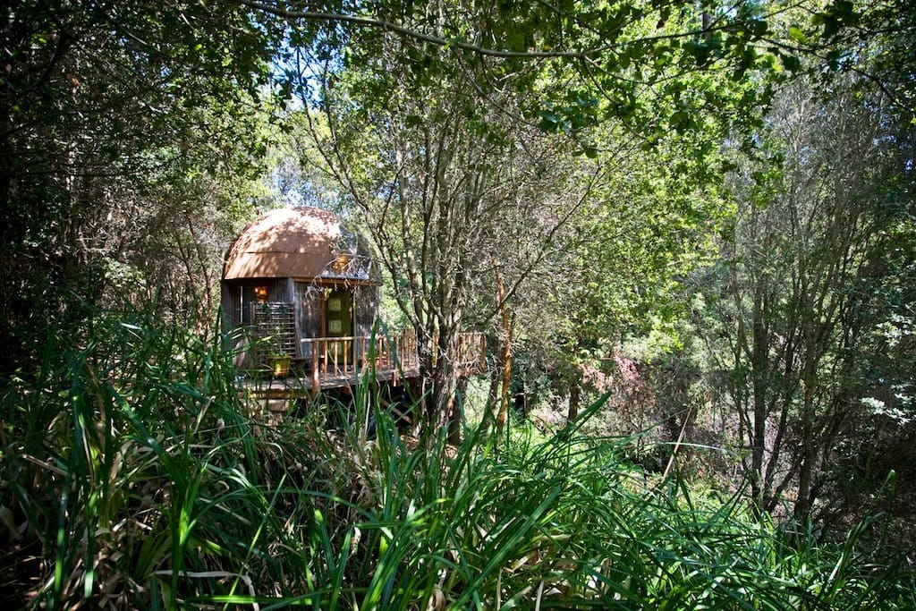 Image of: Ten Quintessentially Quirky Airbnbs in California