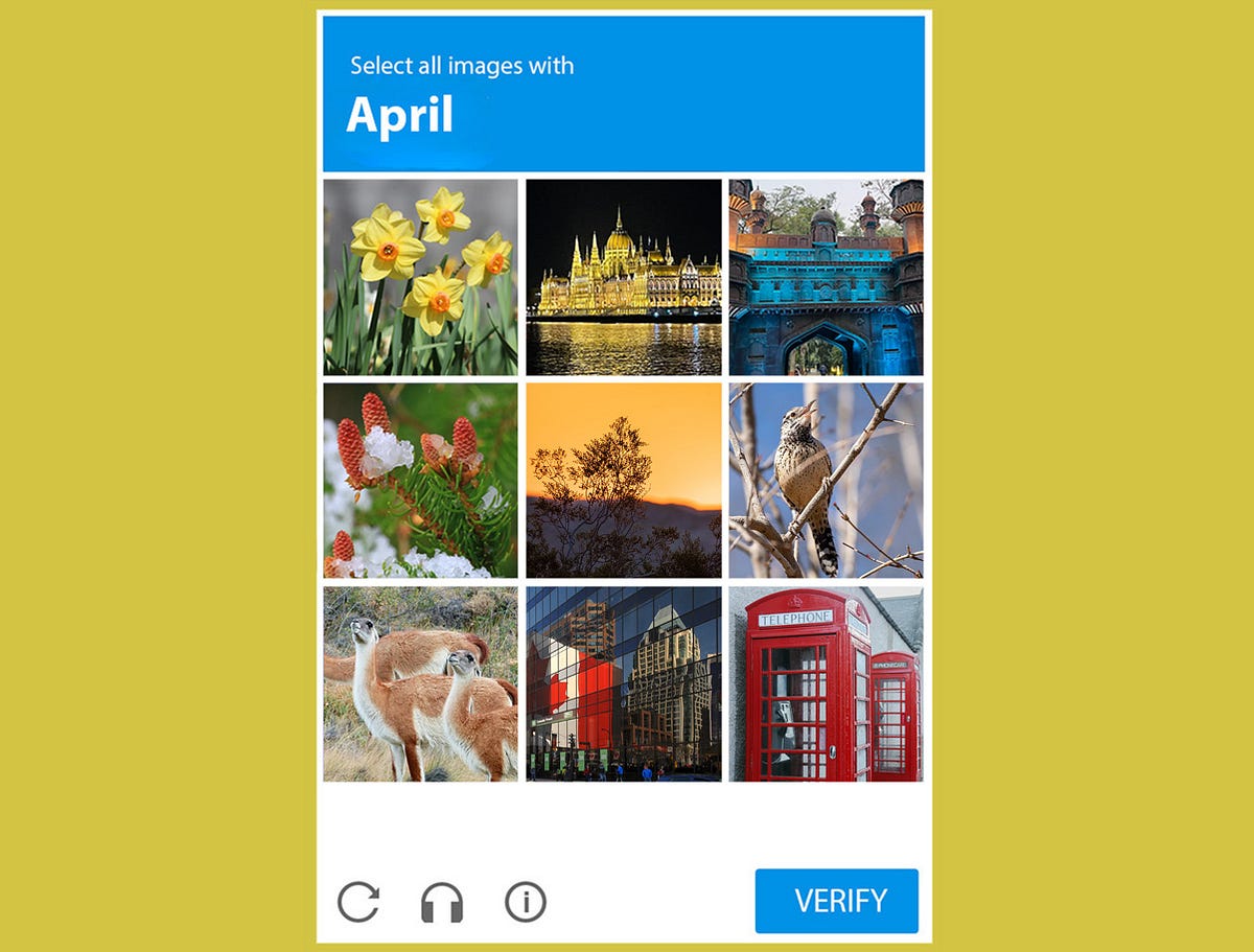 The Best of April. From the 52 Week Photography Project | by Rodrigo S ...