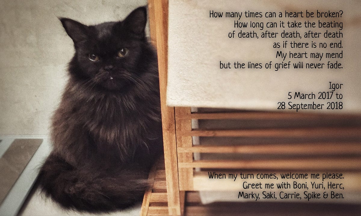 Death comes in threes but it’s the fourth that kills you by Peachy